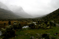 El Cocuy Circuito