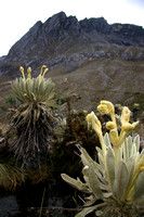 Rain and Landslides: El Cocuy